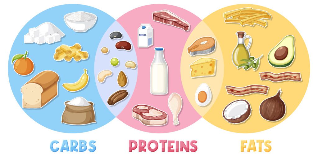 Radiation therapy nutrition 01
