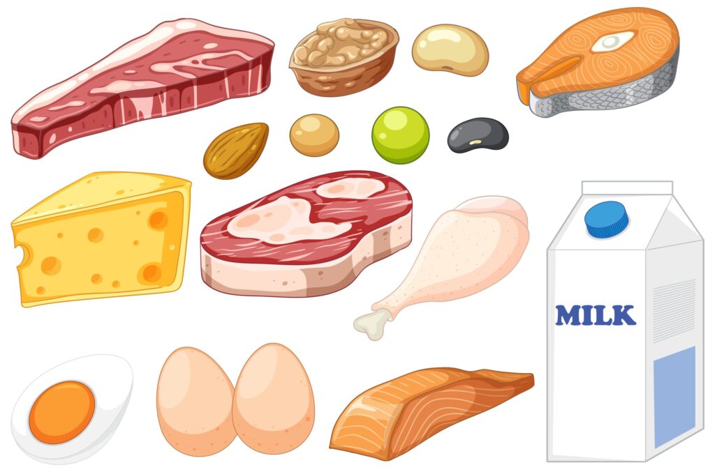 protein needs cancer for patients 02