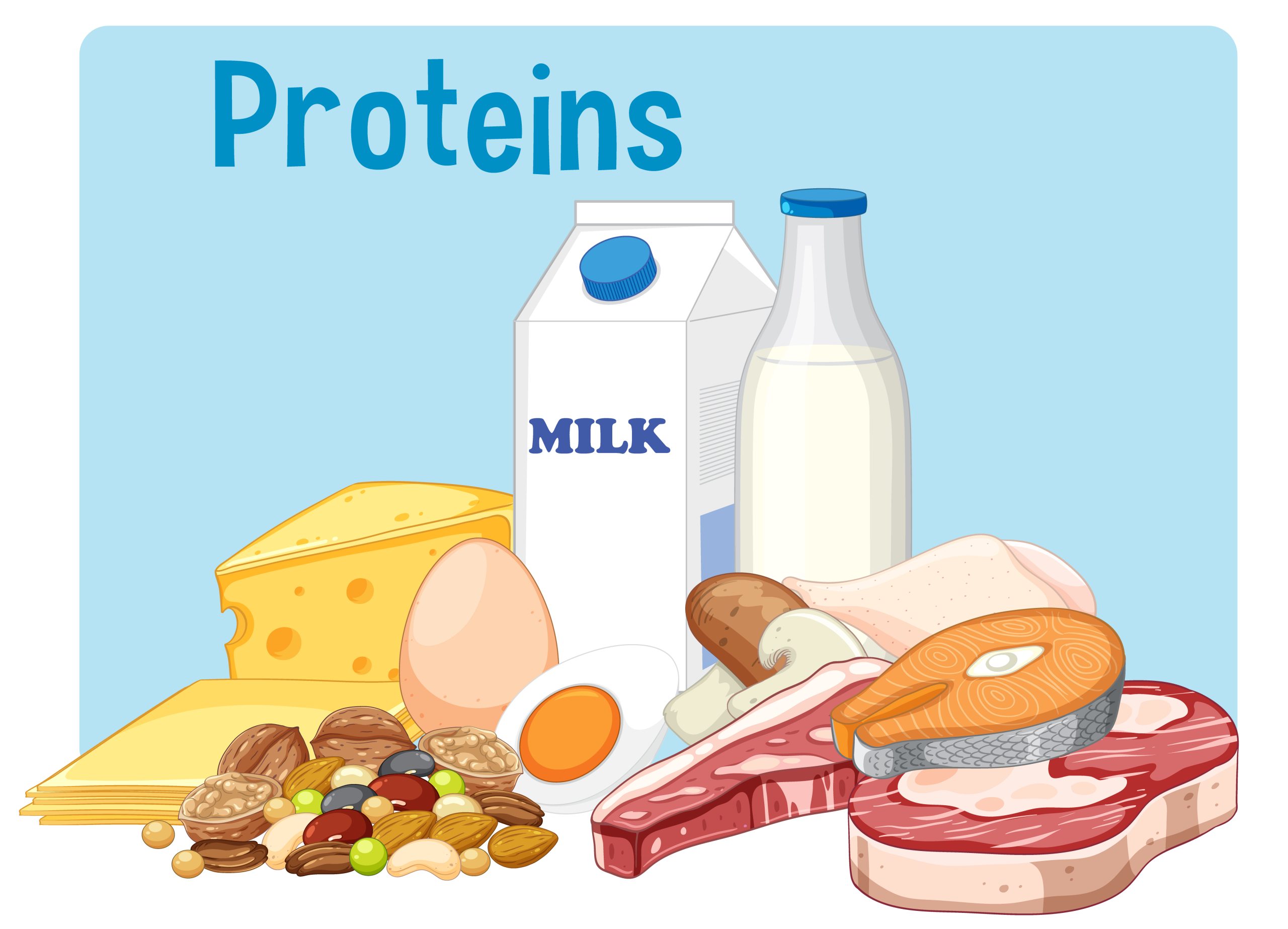protein needs cancer patients