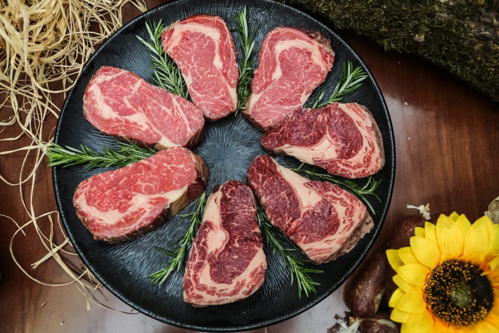 carnivore diet and cancer featured image