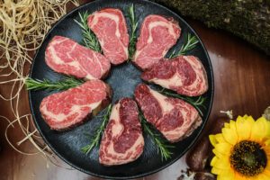 carnivore diet and cancer featured image